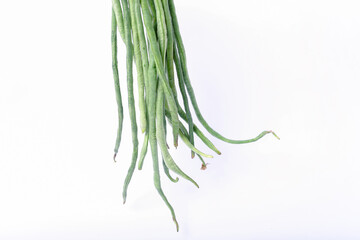 Organic cowpea beans, Yardlong bean or kacang panjang or long bean. isolated white background.