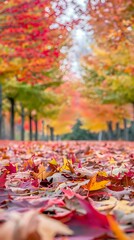 A serene autumn pathway lined with colorful leaves and trees.