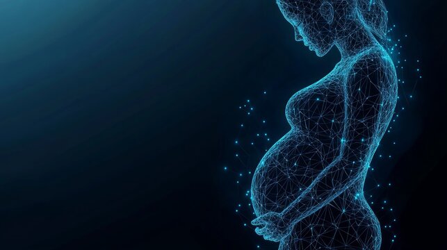 Closeup of an abstract pregnant woman with embryo in her maw side view. Isolated pregnancy medical concept on white. Vector low poly wireframe illustrations with connected dots, and triangle shapes
