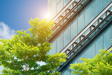 Environmentally friendly office building a sustainable glass building with trees reduces heat and carbon dioxide. Office buildings with a green environment save energy and allow employees to relax.