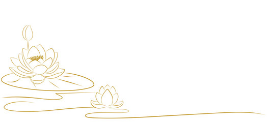 lotus flowers line art illustration. water lily vector element background