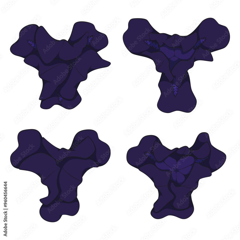 Aufkleber set of color illustrations with black iris flowers. isolated vector objects on white background.