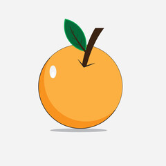 illustration of an orange