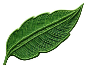 Obraz premium PNG Banan leaf in embroidery style plant freshness clothing.