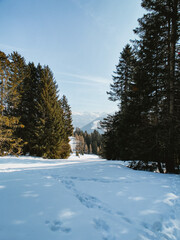 Switzerland Alps Snow Covered Forrest Ski Resort Mountain Range Chur