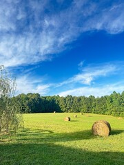 Colorful farmland