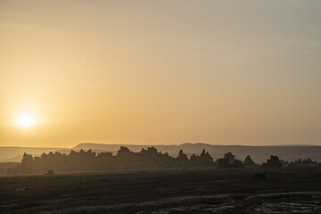 Sunrise around the Volcanic Chimneys of Lake Abbe aka Lac Abbe Bad, Djibouti, East Africa, Horn of...