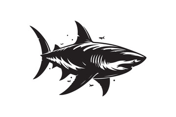 Dolphin vector art and illustration