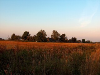 Fototapeta premium belarus, village, field, gardens, houses, roads, sidewalks, trees, flowers, river, forest, pine trees, spruce, meadows, pasture, huts, fence, well