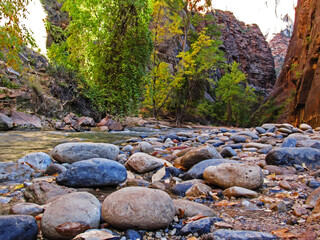 View towards the narrows with the rounded boulders along the rive bed of the Virgin River in the...