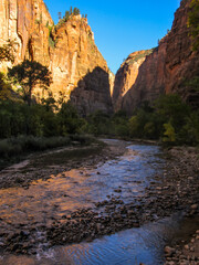 The Virgin River flowing between the high golden cliffs of Zion Canyon in Utah.