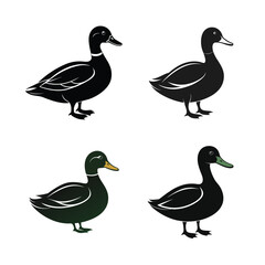 duck and ducklings vector illustration 