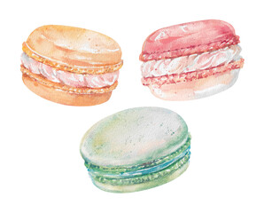 Hand drawn almond macaroon cookies with whipped watercolor cream clipart isolated on white