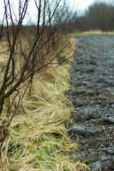plowed field