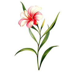 Beautiful watercolor illustration of tropical flowers and leaves. Perfect for design, decoration, or tattoo inspiration, showcasing vibrant colors and artistic elegance #17