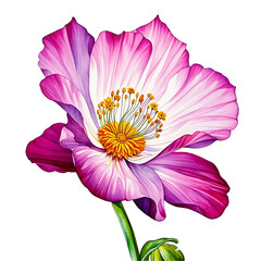 Beautiful watercolor illustration of tropical flowers and leaves. Perfect for design, decoration, or tattoo inspiration, showcasing vibrant colors and artistic elegance #14