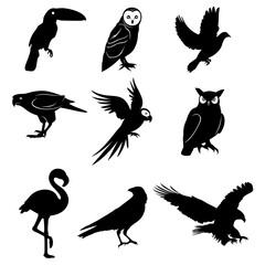 Bird animal silhouette set collection. Vector image