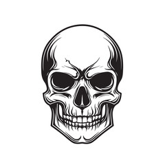 Head Skull  Vector Image isolated on white background.
