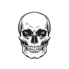 Skull Vector Art Illustrations Vector Image isolated on white background.