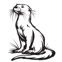Otters Vector Images. Common Otter Stock Illustrations isolated on white background.