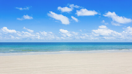 Beautiful sea Coconut trees Outdoor ocean summer landscape.