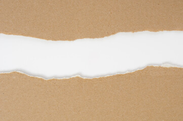 Torn edge cardboard  pieces  on a white  background