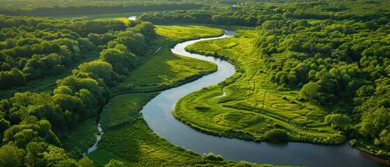 Serene Aerial View of a Meandering River Through Lush Countryside
