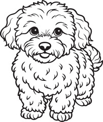 Bichon Fris Drawing of Black and White Background Illustration for Coloring Pages 