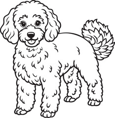 Poodle Drawing Black and White of Balck and White Illustration for Coloring Pages