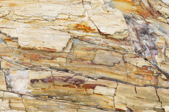 Close-up Textures of Petrified Wood in Ginkgo State Park