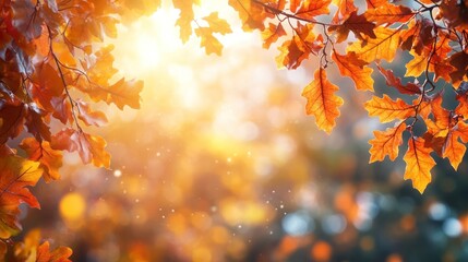 Autumn background with orange fall leaves. Garden scene on fall season with bright shiny sun ray and maple tree