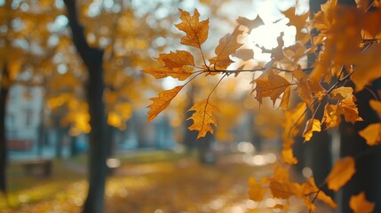 Autumn background with orange fall leaves. Garden scene on fall season with bright shiny sun ray and maple tree