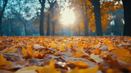 Autumn background with orange fall leaves. Garden scene on fall season with bright shiny sun ray and maple tree