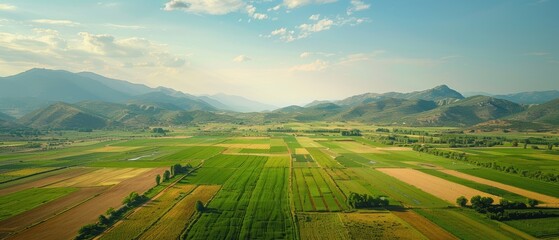 Aerial Spectacle: Neatly Arranged Agricultural Landscape with Irrigation Canals and Mountains in Clarity