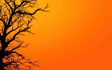 Obraz premium A silhouetted tree against a vibrant orange background, capturing the essence of twilight and nature's serene beauty.