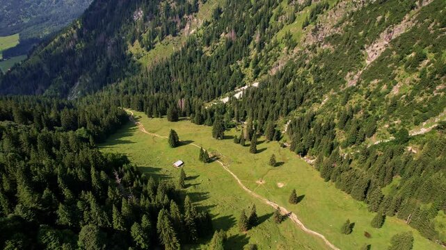 4K Aerial Drone video of the most beautiful mountain lake Schrecksee in Bavarian Alps with the cows feeding on lush green grass on a sunny day with blue skies and rocky hill tops surrounding