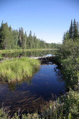 Obraz premium Chapleau Crown Game Preserve / Chapleau Crown Game Preserve /