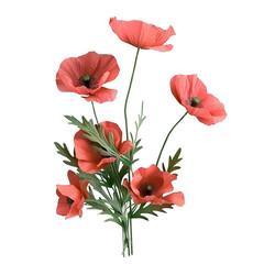 Obraz premium Vibrant Red Poppies on a Black Background