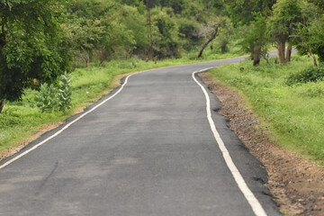 A scenic view of a empty road leading into the forest area.