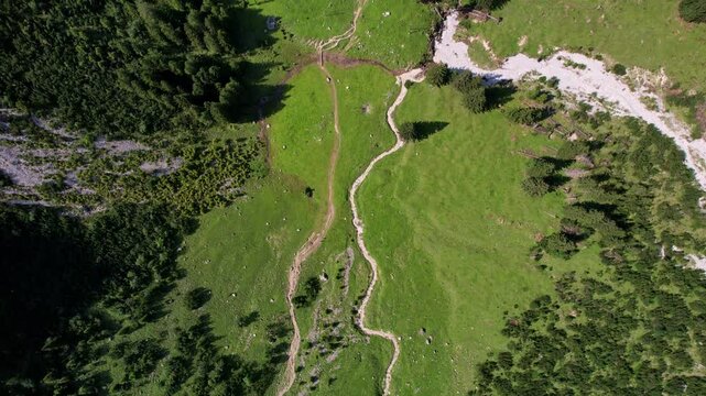 4K Aerial Drone video of the most beautiful mountain lake Schrecksee in Bavarian Alps with the cows feeding on lush green grass on a sunny day with blue skies and rocky hill tops surrounding