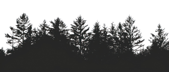 PNG Silhouetted forest trees against sky