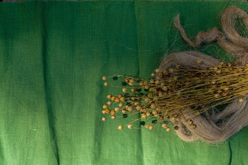 Flax plant pods or seed pods. Flax bast fiber. Green linen canvas fabric. Shadows. Sunlight. Copy space.