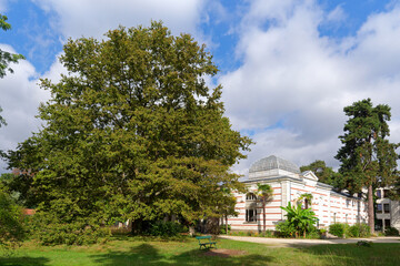 Tropical agronomic garden of the Vincennes wood in Paris city