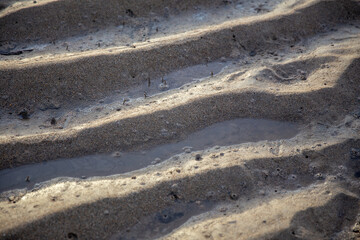 Shore at low tide