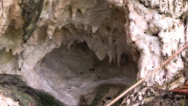 Nacimiento de agua en cueva o mina de sal blanca, entorno natural &uacute;nico