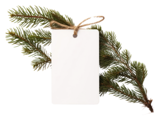 PNG Gift tag christmas plant tree.
