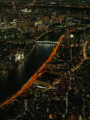 Fototapeta premium view of the Tokyo city at night with river and bridge