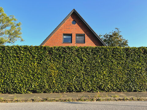 Einfamilienhaus hinter einer hohen Hecke 