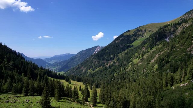 4K Aerial Drone video of the most beautiful mountain lake Schrecksee in Bavarian Alps with the cows feeding on lush green grass on a sunny day with blue skies and rocky hill tops surrounding