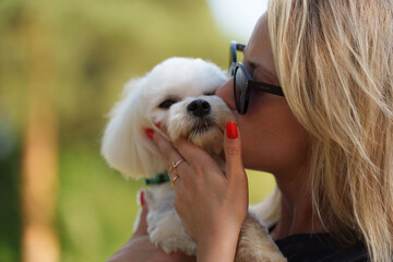 Portrait of smiling young woman kiss dog in Natural Park. Dog lover woman wearing blue dress with dog during good day. Concept of friendship and beautiful girl with a small dog